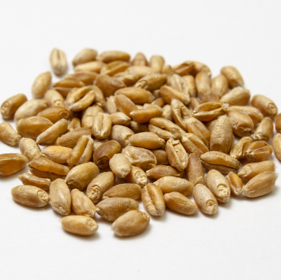 Wheat (1 cup)